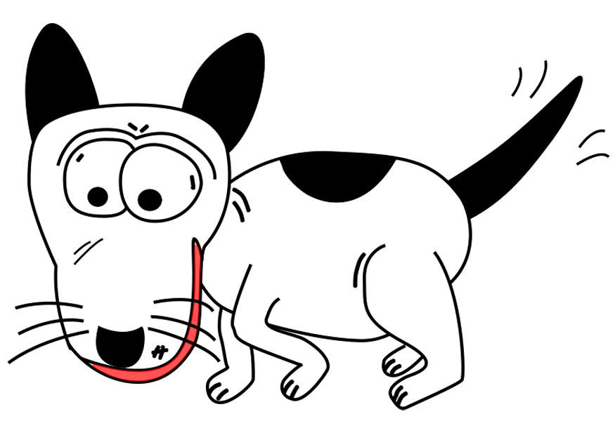 chien Image chien