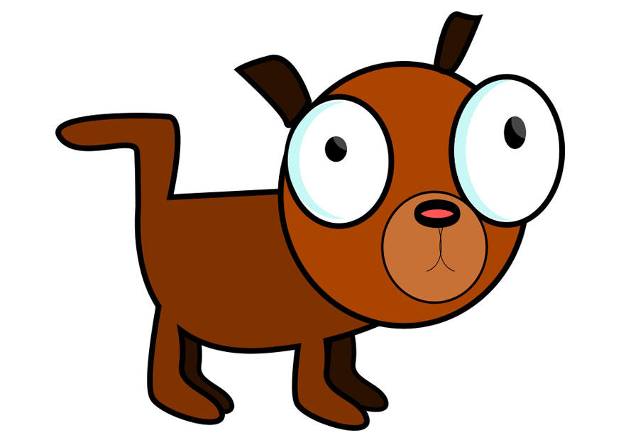 chien Image chien
