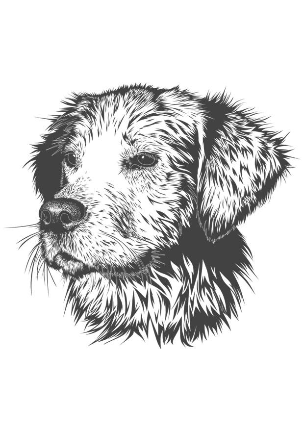 chien Coloriage chien