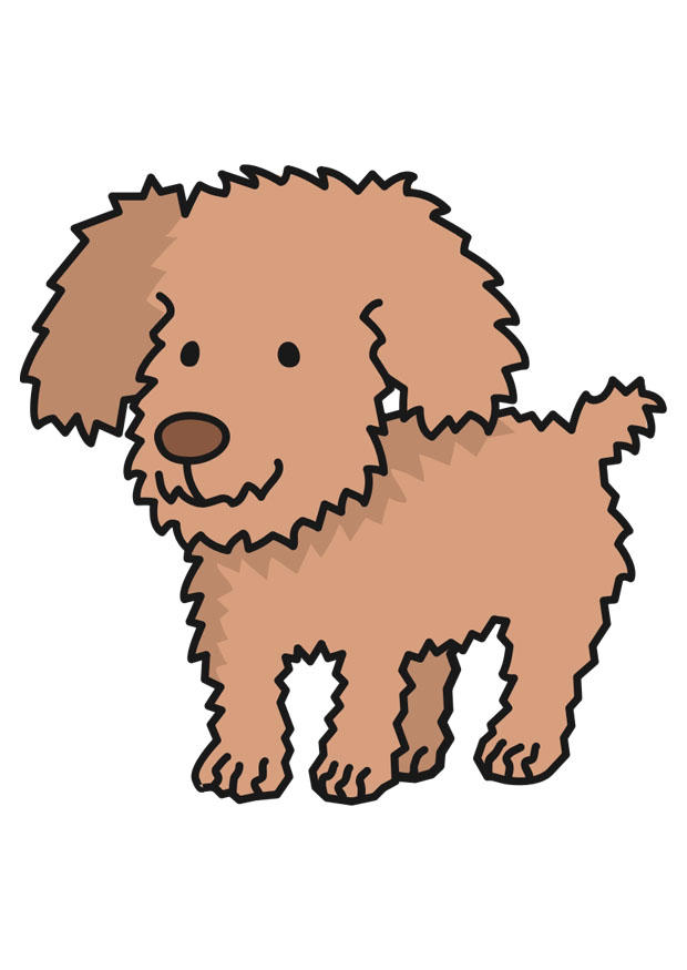 chien Image chien