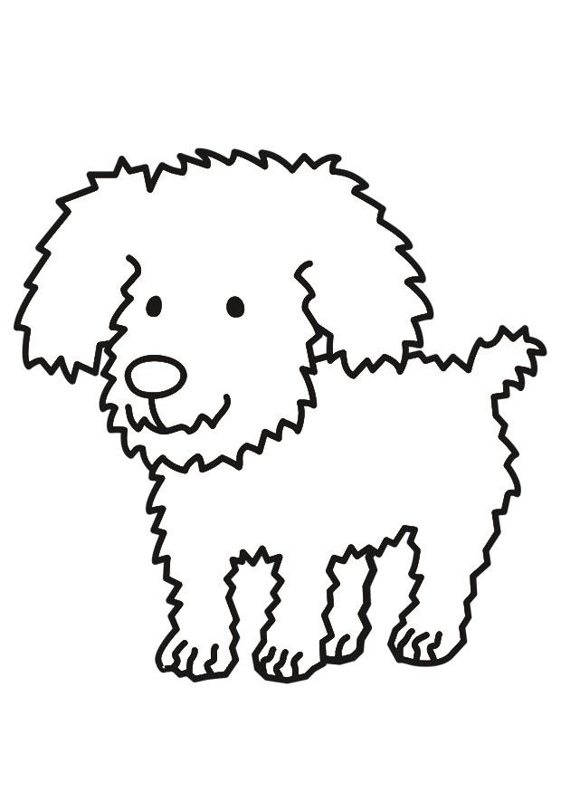 chien Coloriage chien
