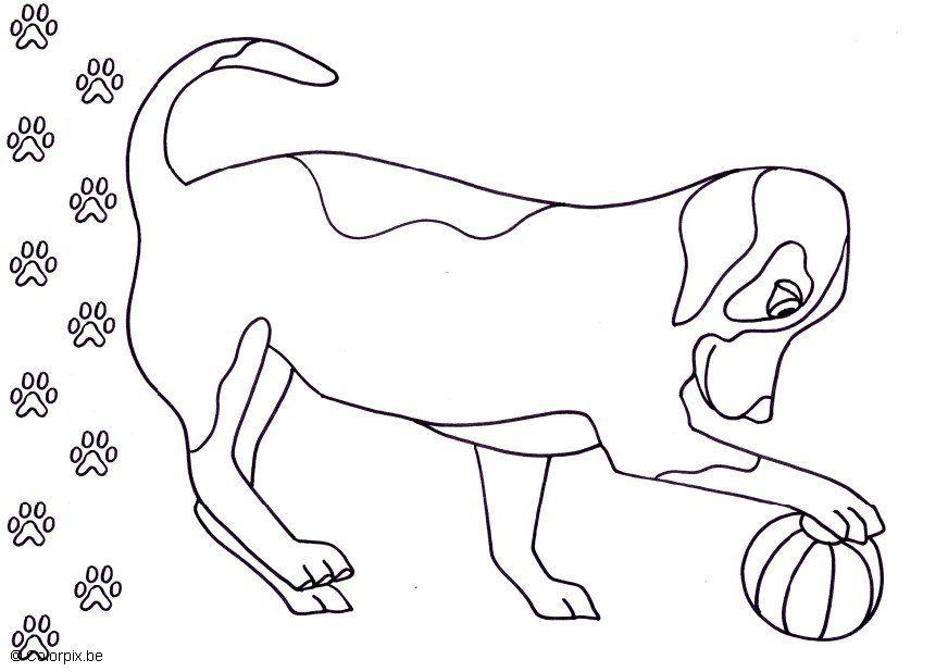 chien Coloriage chien