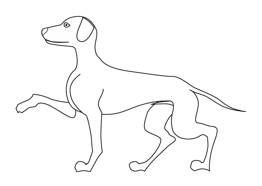 chien Coloriage chien