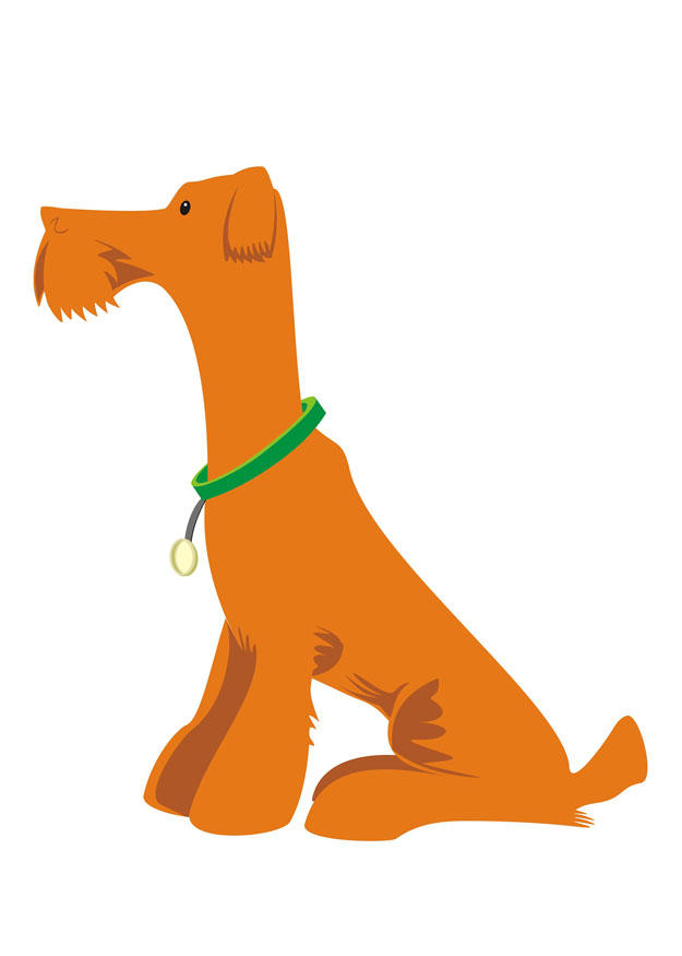 chien - assis Image chien - assis