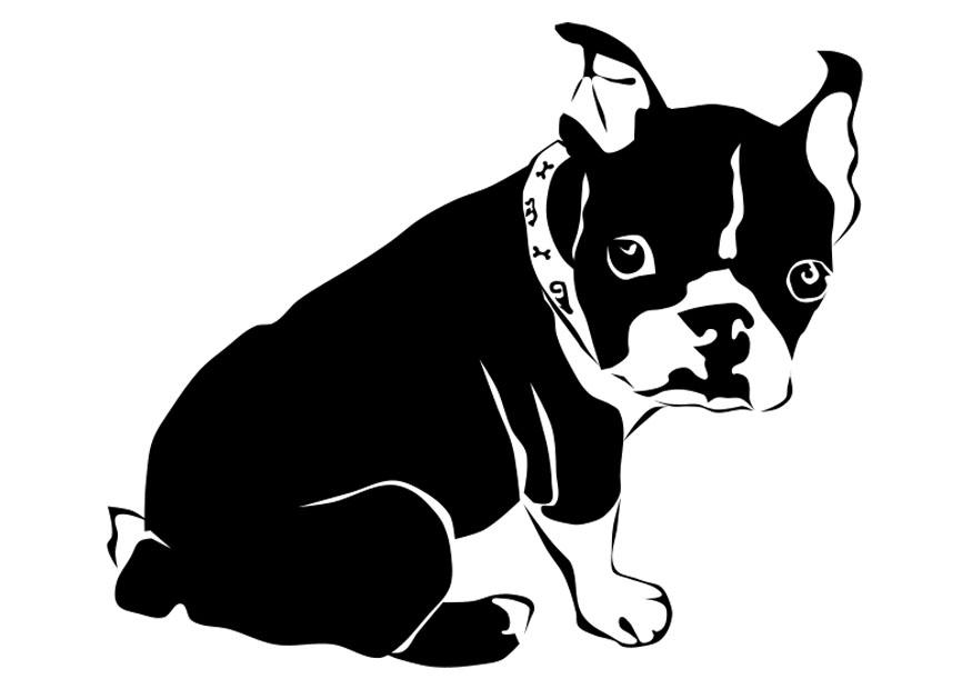 chien - bouledogue franA§ais Coloriage chien - bouledogue franA§ais