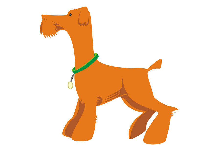 chien - debout Image chien - debout