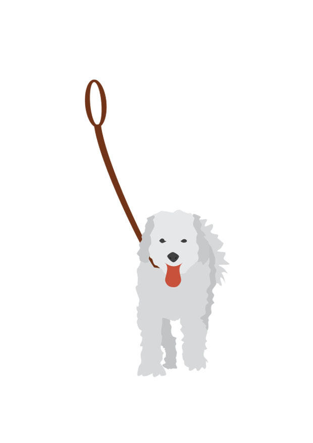 chien guidA© Image chien guidA©