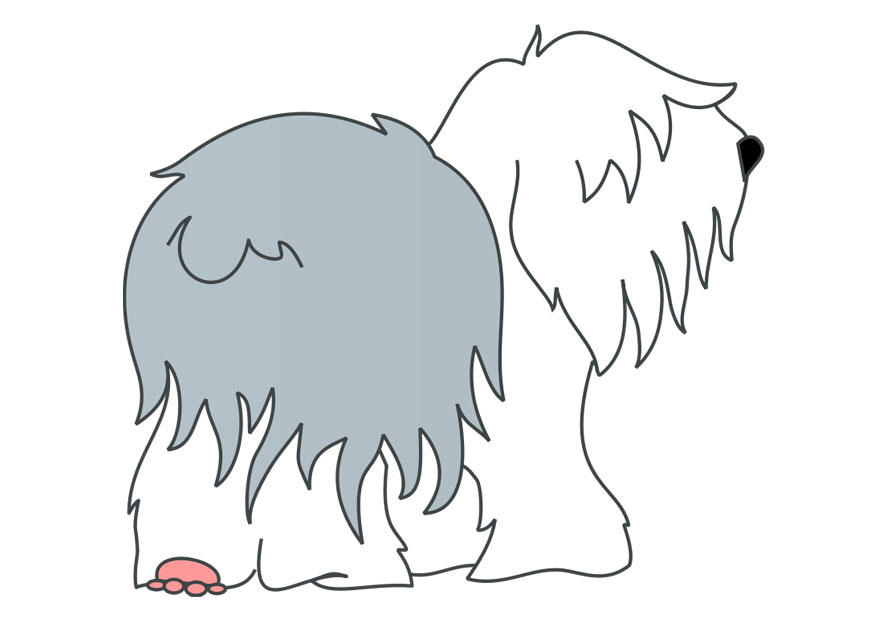 chien - queue A©courtA© Image chien - queue A©courtA©