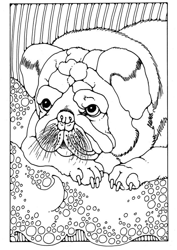 chiot Coloriage chiot