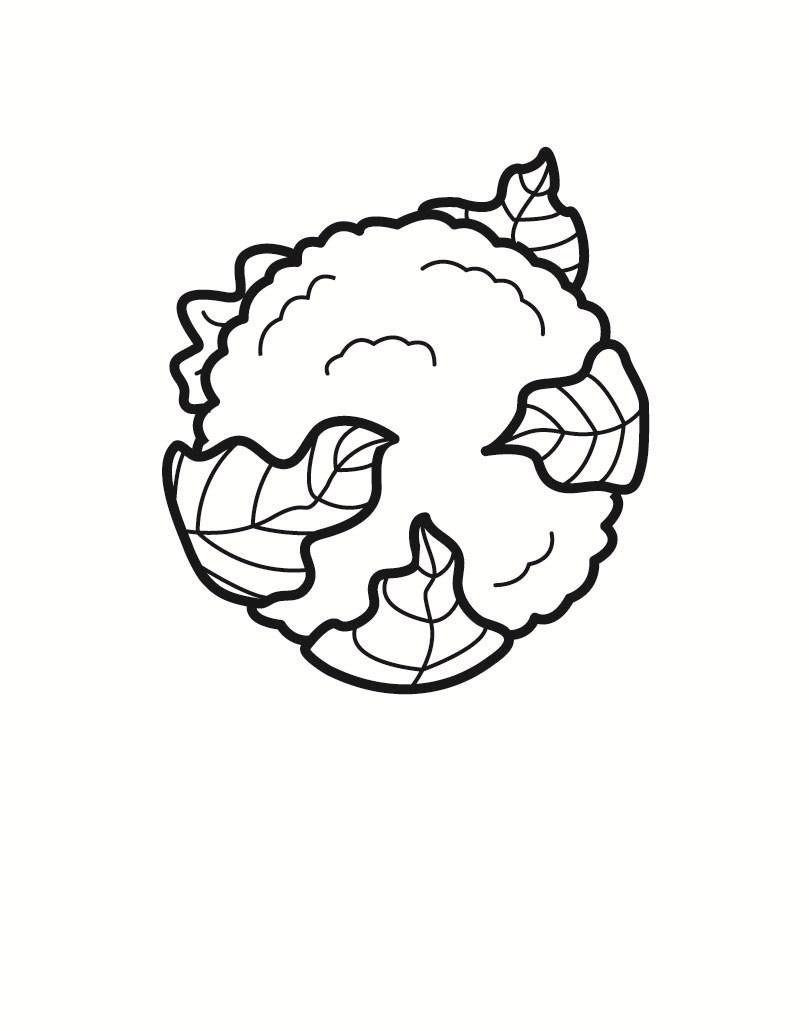 chou-fleur Coloriage chou-fleur
