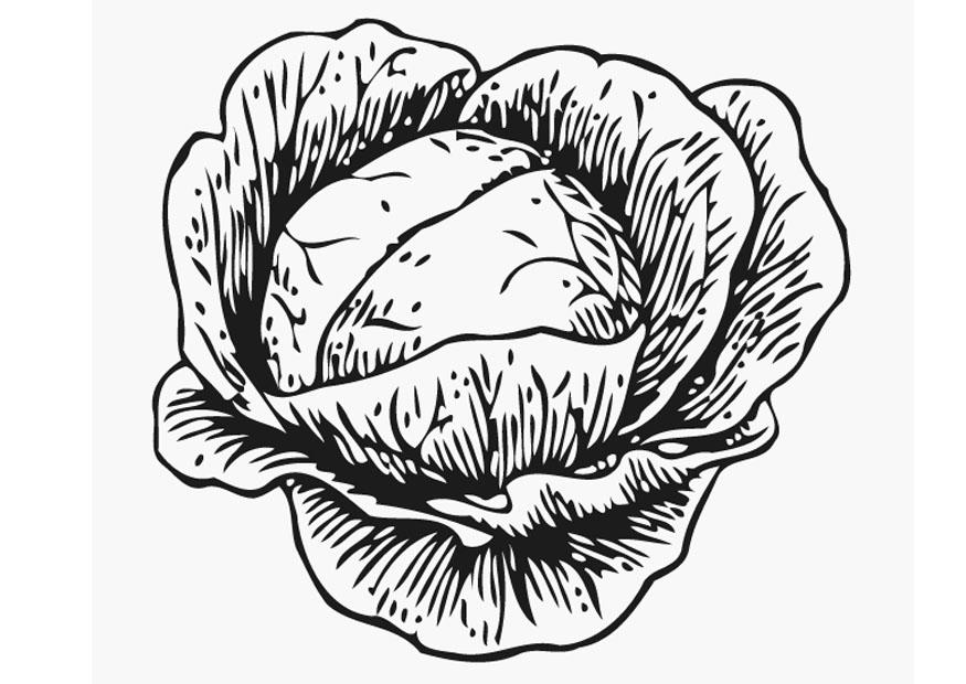 choux Coloriage choux
