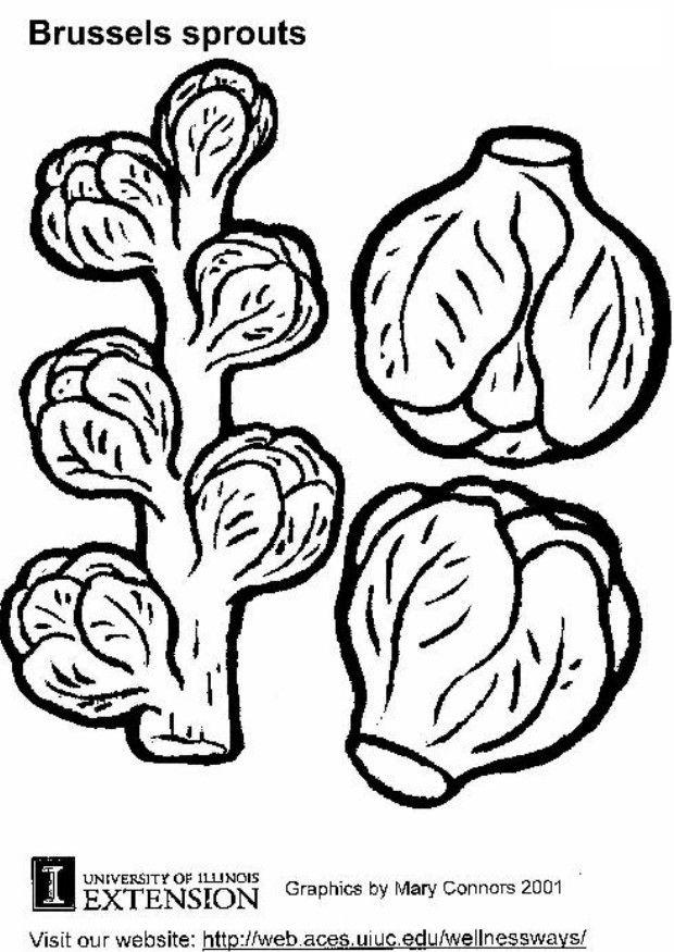 choux de bruxelles Coloriage choux de bruxelles