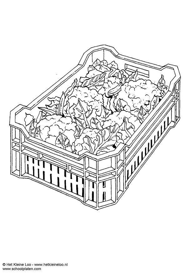 choux-fleurs Coloriage choux-fleurs