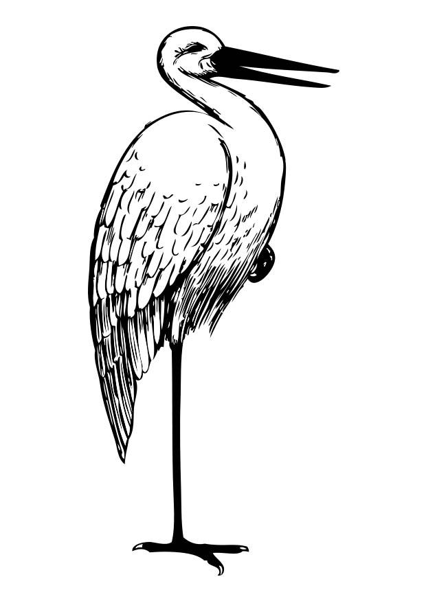 cigogne Coloriage cigogne