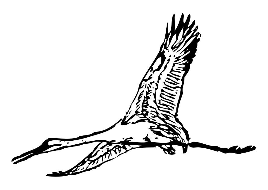 cigogne Coloriage cigogne
