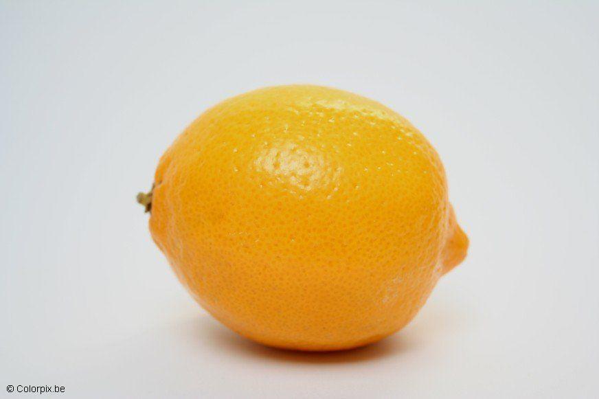 citron Photo citron