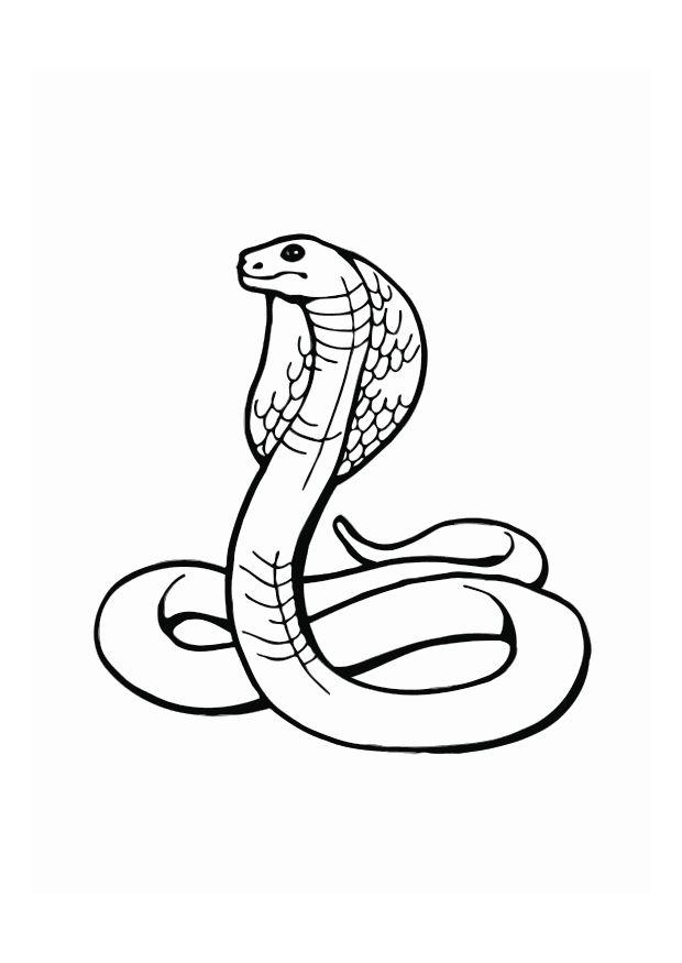 cobra Coloriage cobra