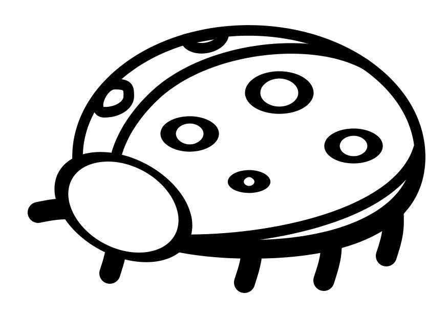 coccinelle Coloriage coccinelle