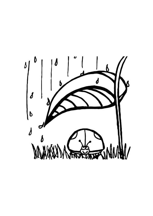 coccinelle sous abri pour la pluie Coloriage coccinelle sous abri pour la pluie