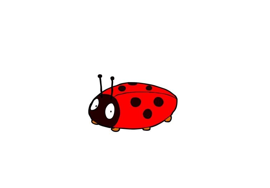 coccinelle Image coccinelle