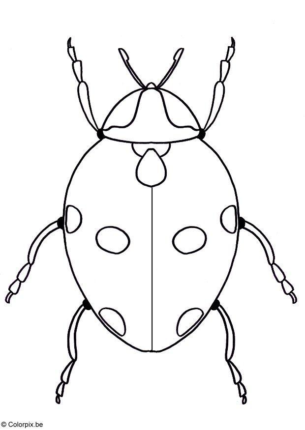 coccinelle Coloriage coccinelle