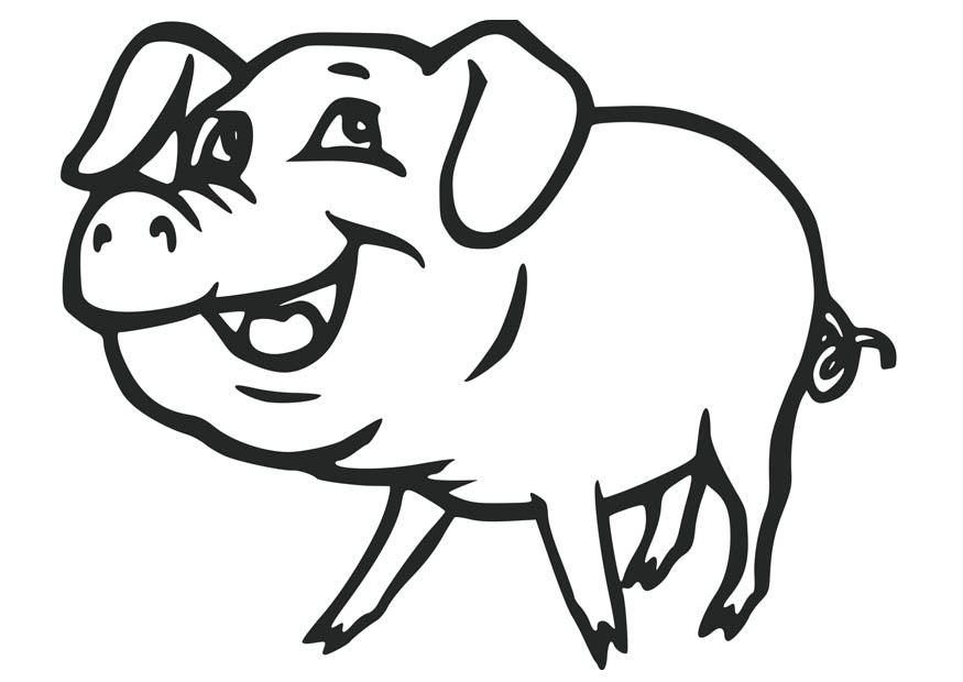 cochon Coloriage cochon