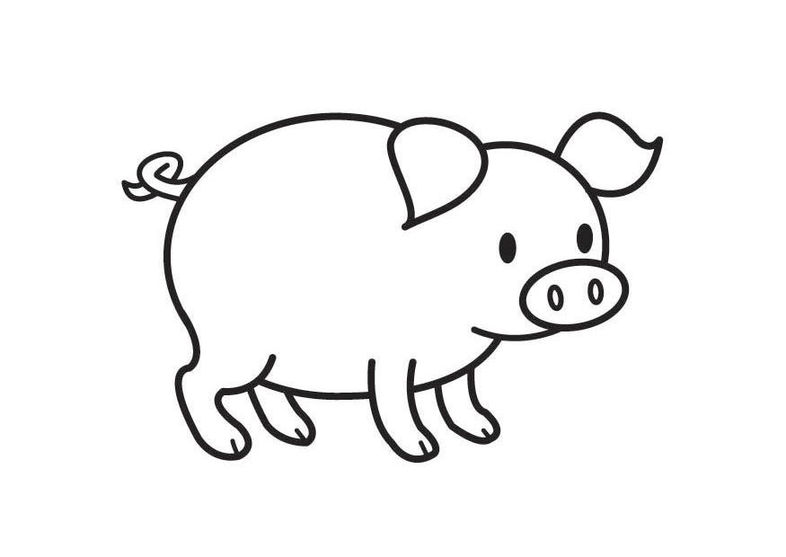 cochon Coloriage cochon
