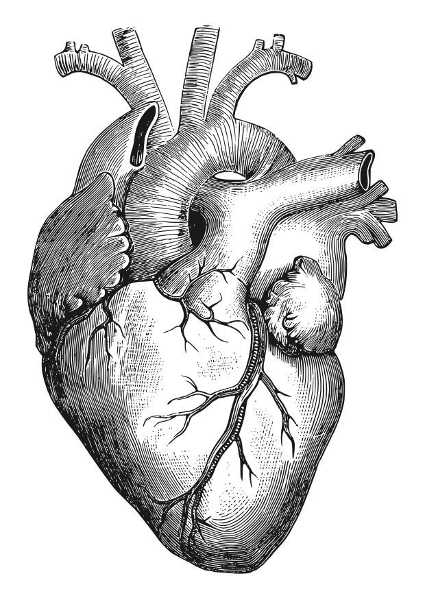 coeur Coloriage coeur