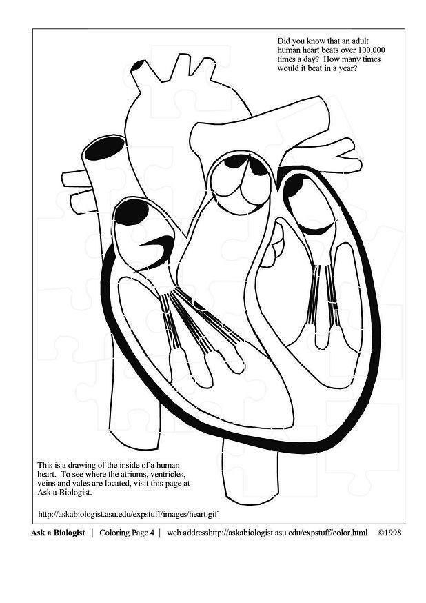 coeur Coloriage coeur