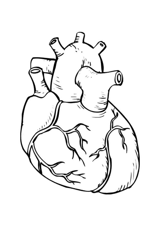 coeur Coloriage coeur