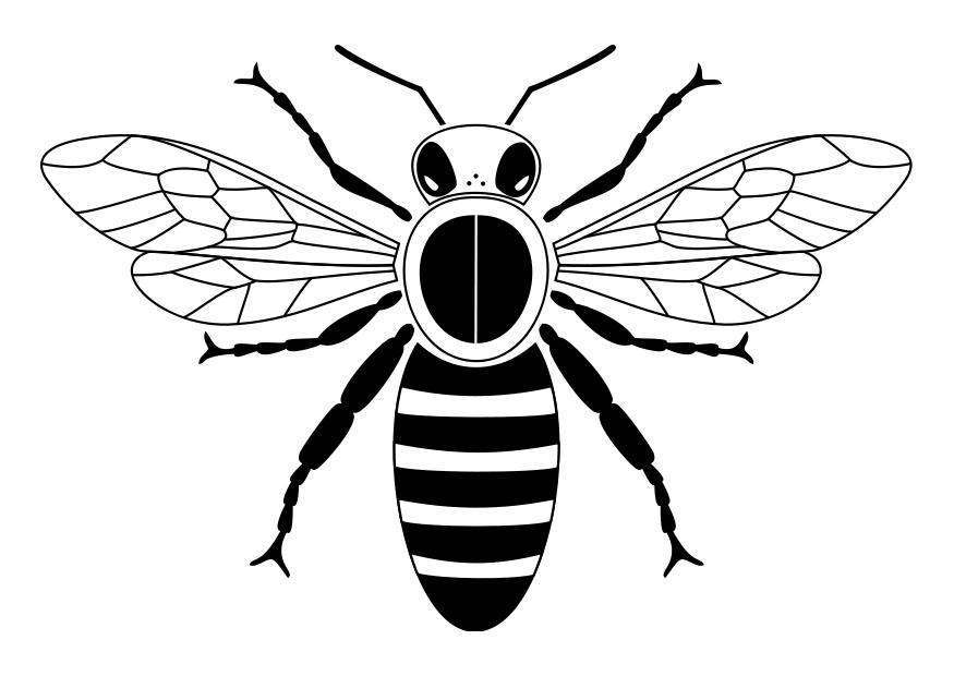 Coloriage abeille