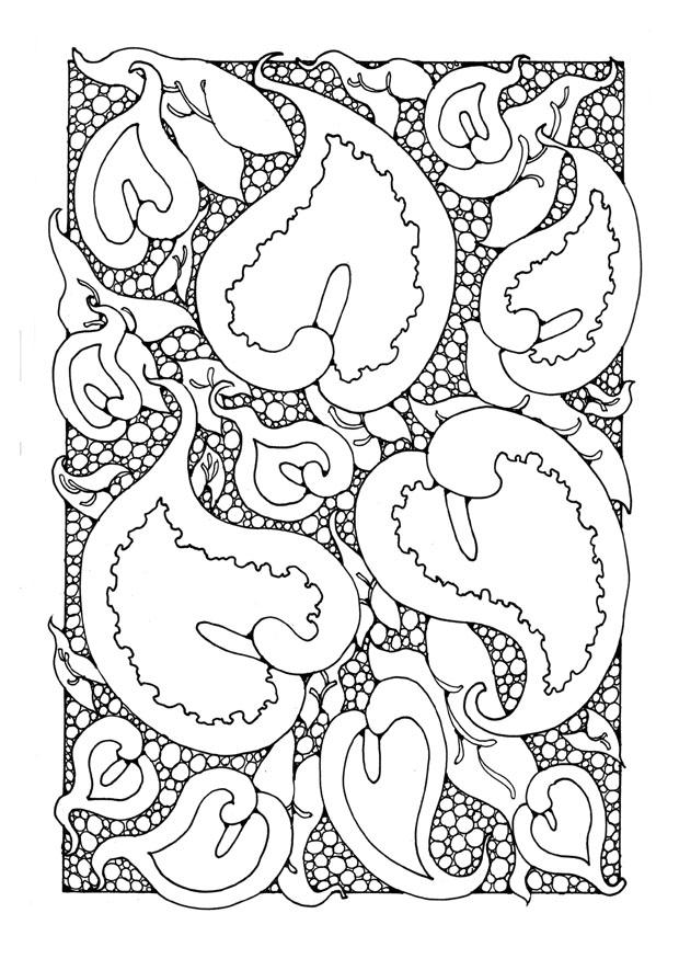 Coloriage arum