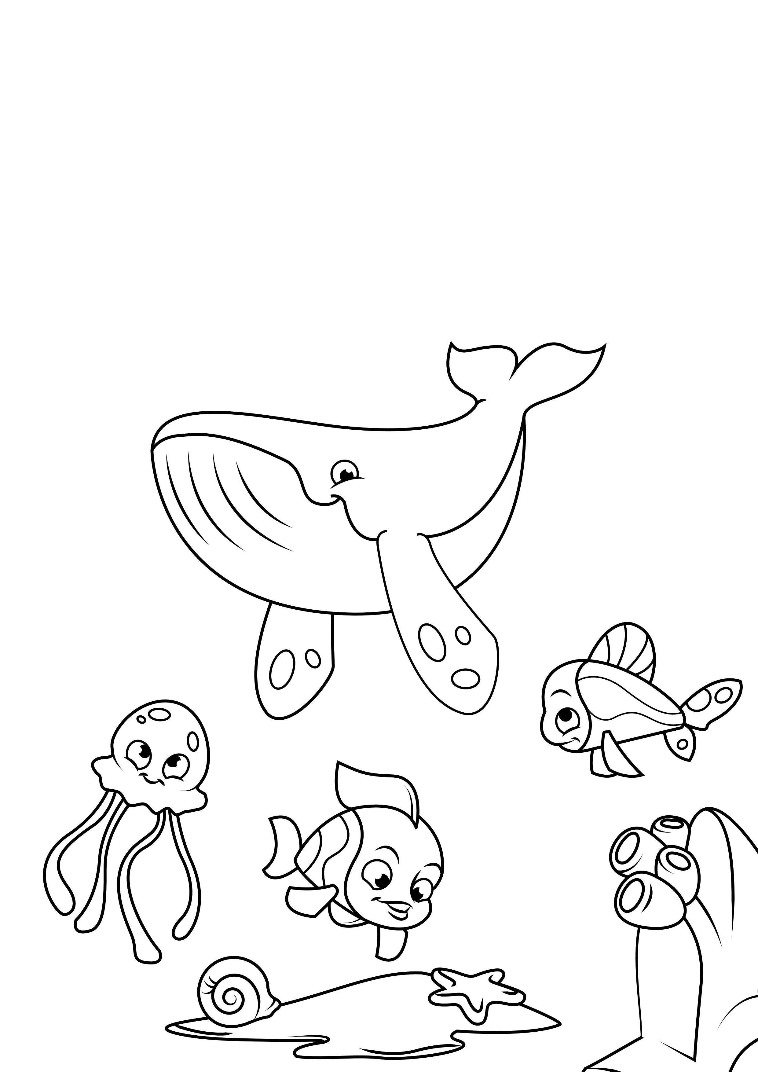 Coloriage baleine poulpe et poisson