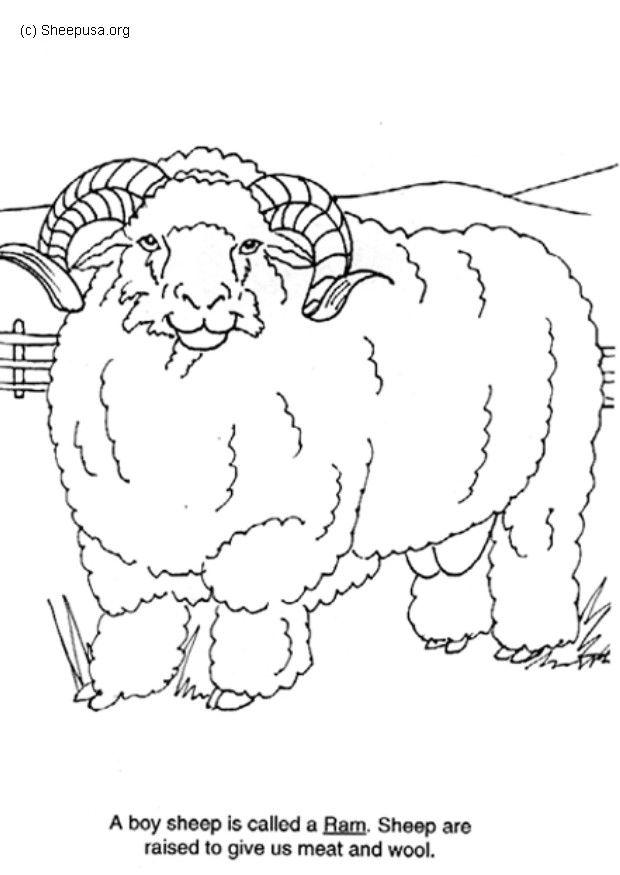 Coloriage bA©lier