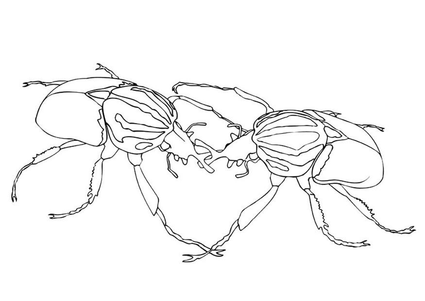 Coloriage colA©optA¨re