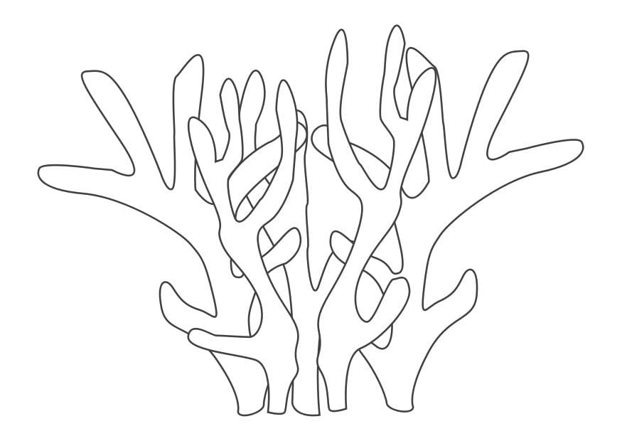 Coloriage corail