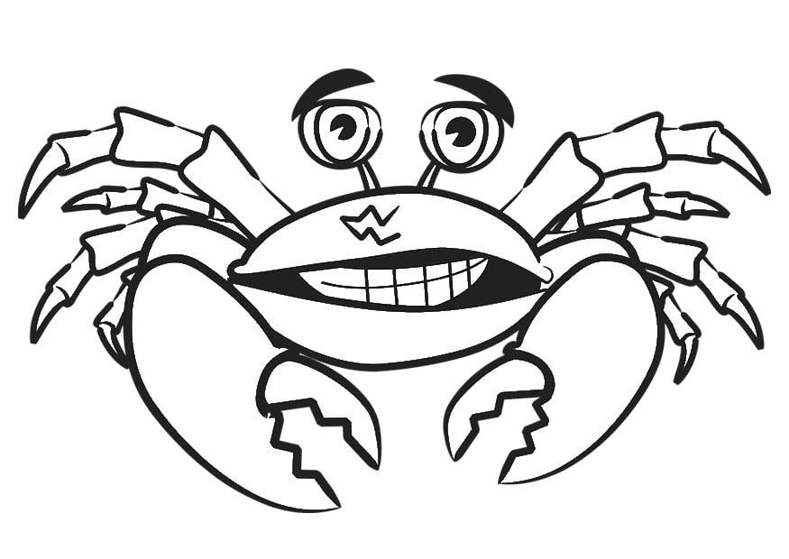 Coloriage crabe