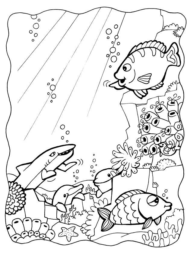 Coloriage dauphins et poissons
