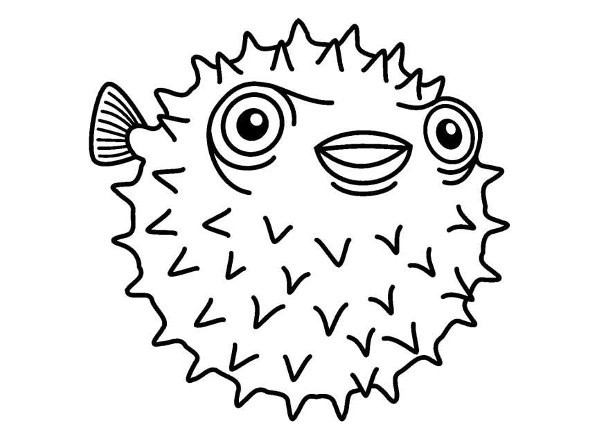 Coloriage diodontidae