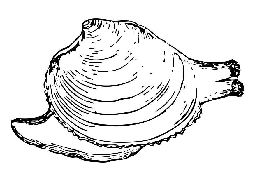Coloriage escargot