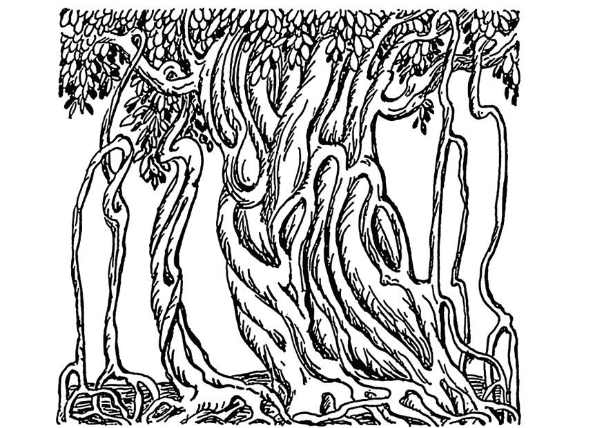 Coloriage figuier des pagodes