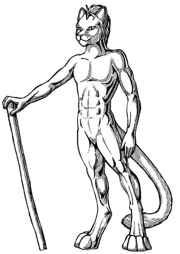 Coloriage furryboy