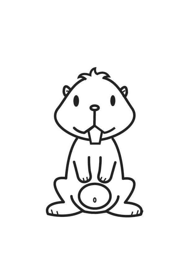 Coloriage hamster