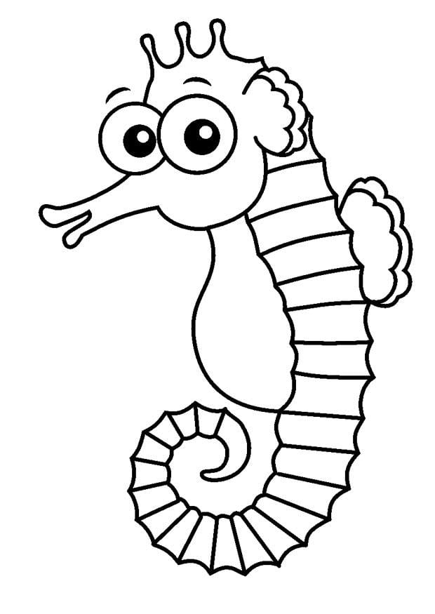 Coloriage hippocampe