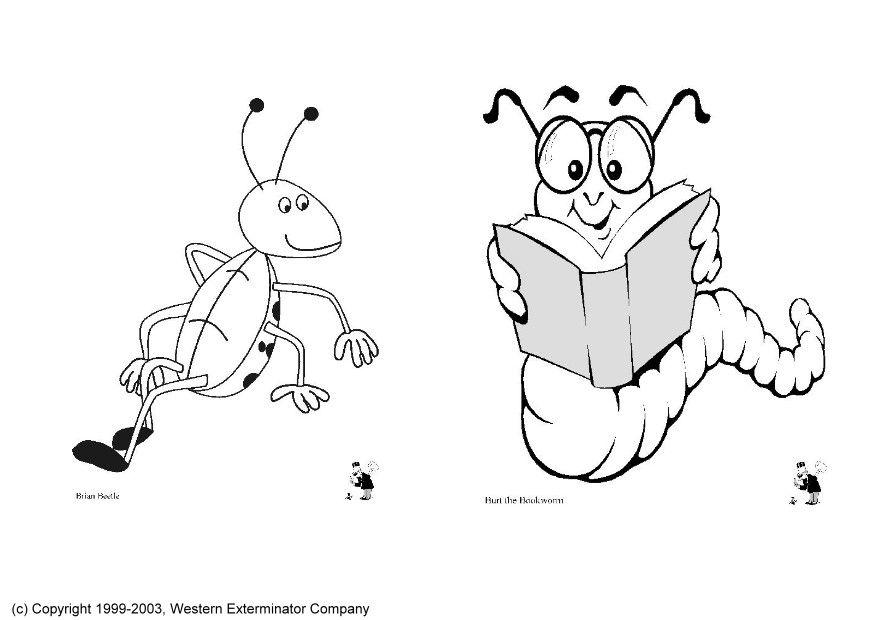 Coloriage insectes