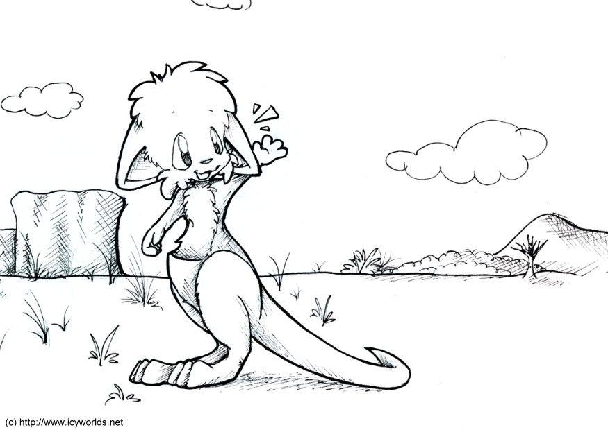 Coloriage kangourou