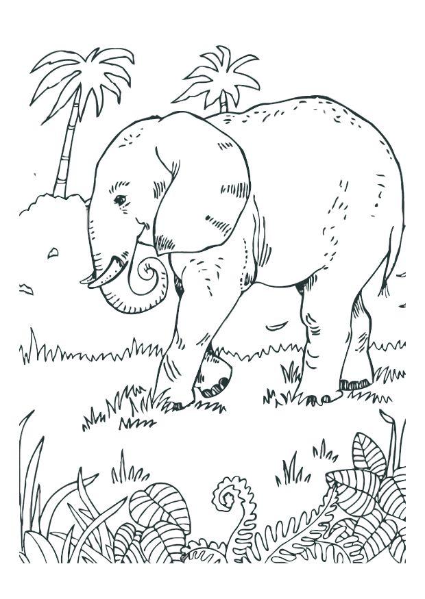 Coloriage lA©lA©phant