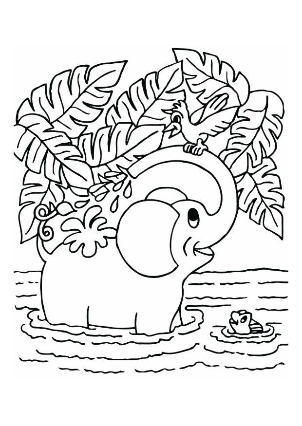 Coloriage lA©lA©phant