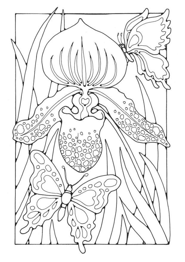 Coloriage lis avec papillons