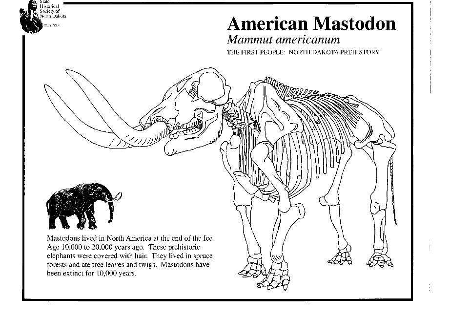 Coloriage mastodon